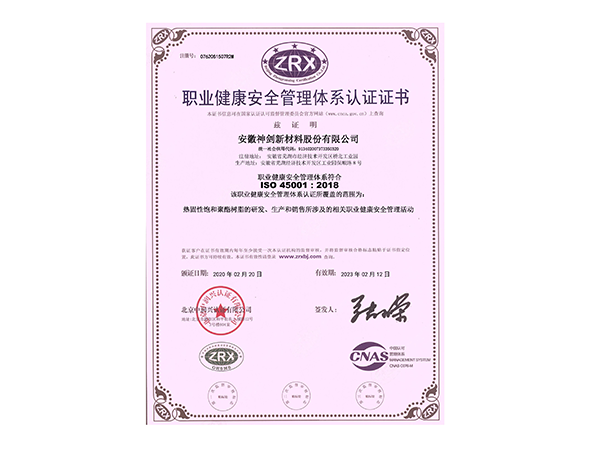 职业健全安全治理系统认证证书