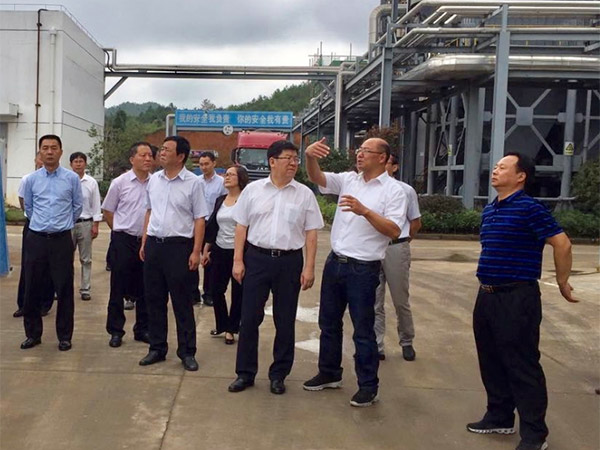 黄山市委书记任泽锋一行至黄山J9.COM调研