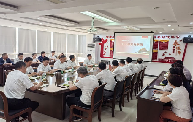 党支部召开党纪集中教育进建会议